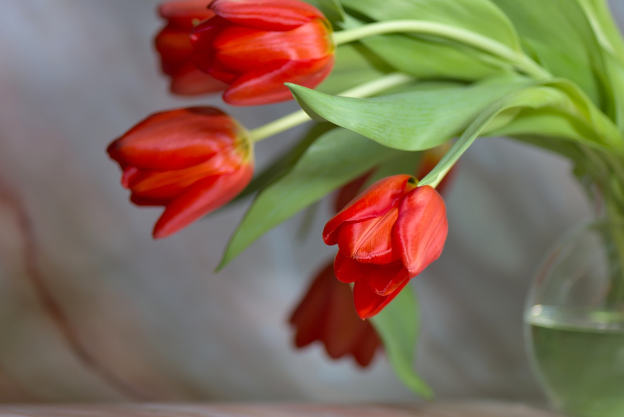 How to Arrange a Stunningly Simple Flower Bouquet